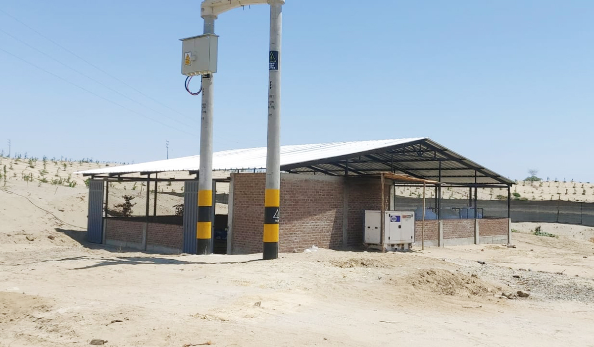 Campo de cultivo 3